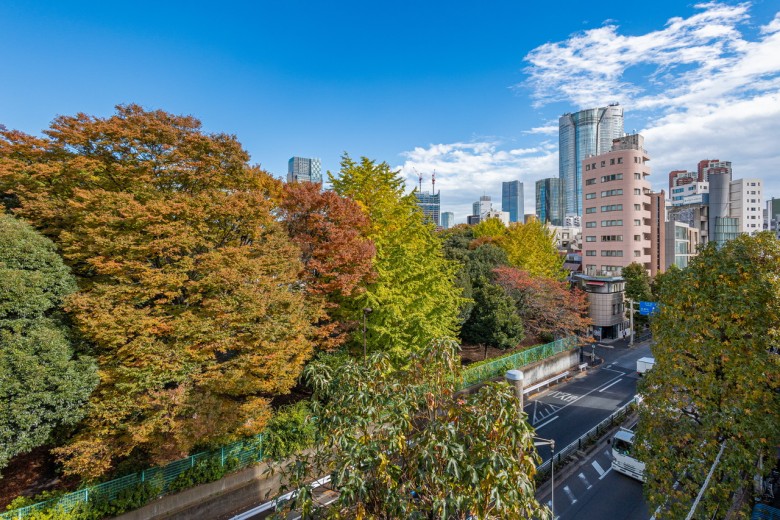 青山霊園・青山公園の緑を望む眺望です。