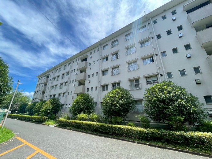 (外観) (外観)